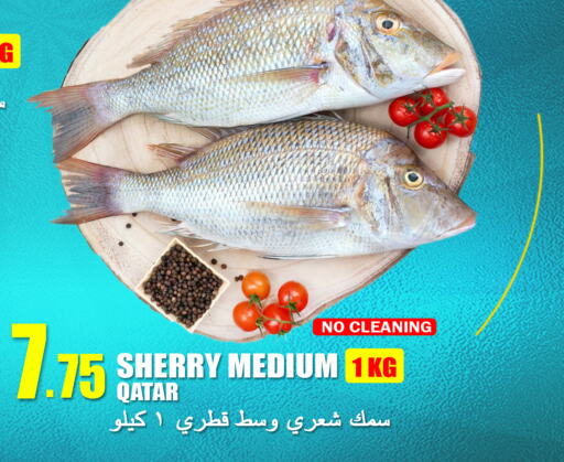  King Fish  in Food Palace Hypermarket in Qatar - Doha