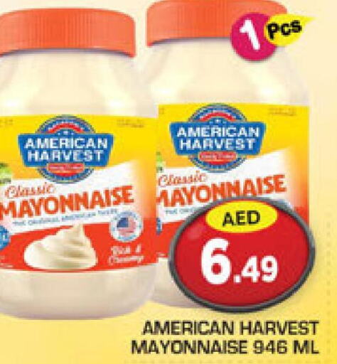 AMERICAN HARVEST Mayonnaise  in Baniyas Spike  in UAE - Abu Dhabi