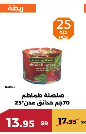  Tomato Paste  in حدائق الفرات in مملكة العربية السعودية, السعودية, سعودية - مكة المكرمة