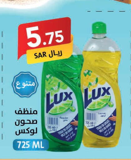 LUX   in Ala Kaifak in KSA, Saudi Arabia, Saudi - Tabuk