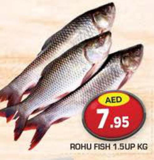  Tuna  in Baniyas Spike  in UAE - Al Ain