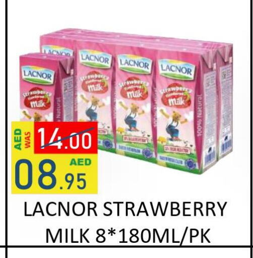 LACNOR Flavoured Milk  in رويال جلف هايبرماركت in الإمارات العربية المتحدة , الامارات - أبو ظبي