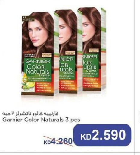 GARNIER Hair Colour  in Salwa Co-Operative Society  in Kuwait - Jahra Governorate