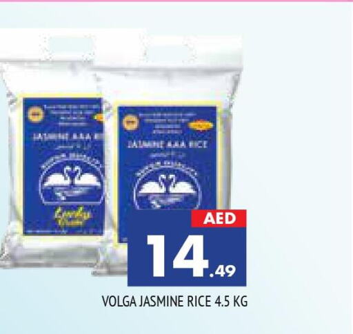 VOLGA Jasmine Rice  in AL MADINA in UAE - Sharjah / Ajman