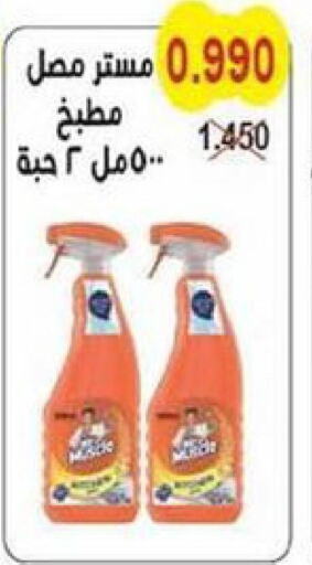 MR. MUSCLE General Cleaner  in Salwa Co-Operative Society  in Kuwait - Ahmadi Governorate