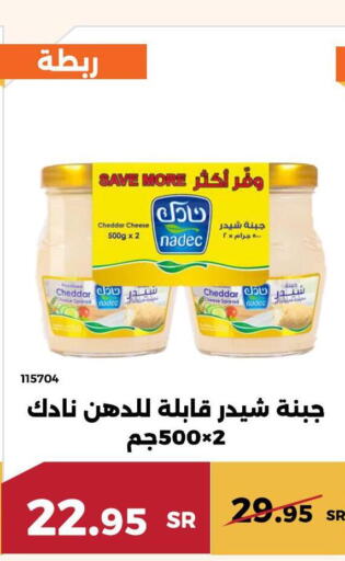 NADEC Cheddar Cheese  in حدائق الفرات in مملكة العربية السعودية, السعودية, سعودية - مكة المكرمة