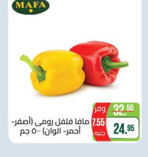  Chilli / Capsicum  in سعودي سوبرماركت in Egypt - القاهرة