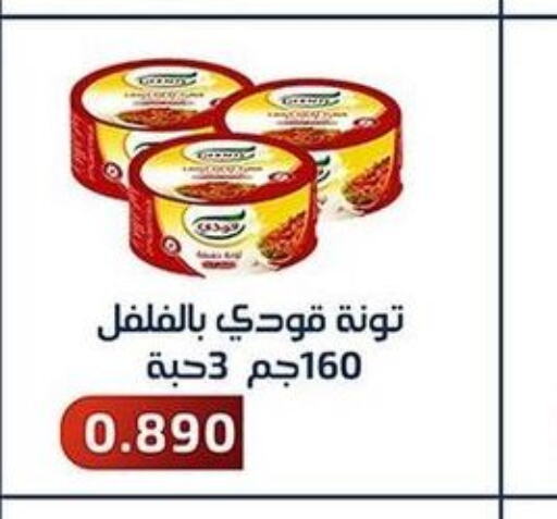 GOODY Tuna - Canned  in Al Fahaheel Co - Op Society in Kuwait - Jahra Governorate