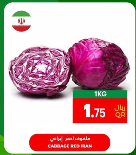  Cabbage  in Village Markets  in Qatar - Al Wakra