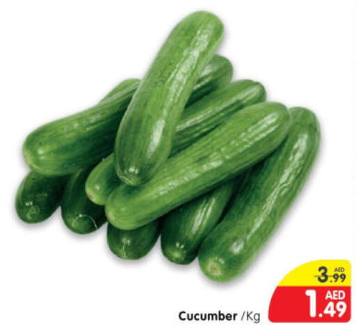  Cucumber  in Al Madina Hypermarket in UAE - Abu Dhabi
