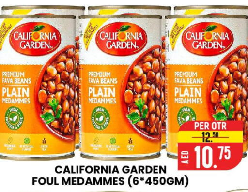 CALIFORNIA Fava Beans  in AL AMAL HYPER MARKET LLC in UAE - Ras al Khaimah