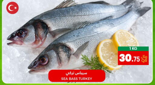  King Fish  in أسواق القرية in قطر - أم صلال