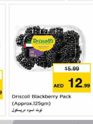  Berries  in Nesto Hypermarket in UAE - Fujairah