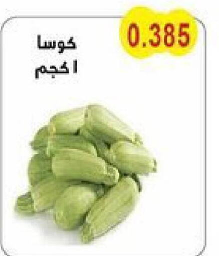  Zucchini  in Salwa Co-Operative Society  in Kuwait - Ahmadi Governorate