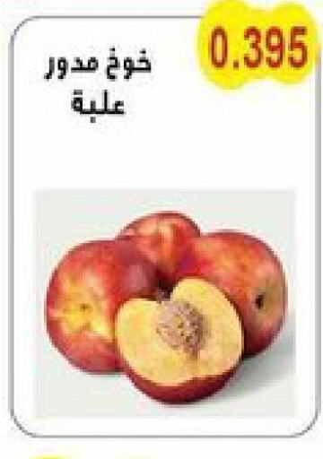  Peach  in Salwa Co-Operative Society  in Kuwait - Ahmadi Governorate