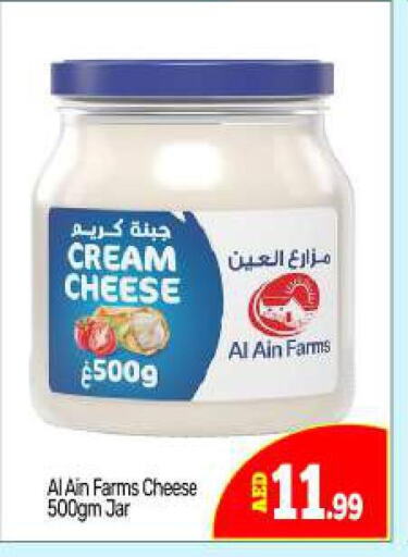AL AIN Cream Cheese  in BIGmart in UAE - Dubai