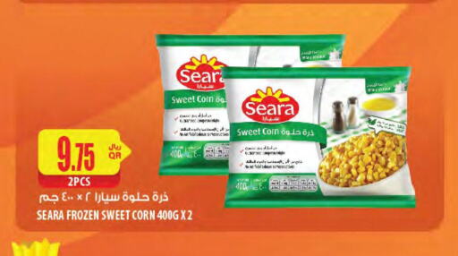 SEARA   in شركة الميرة للمواد الاستهلاكية in قطر - الشحانية