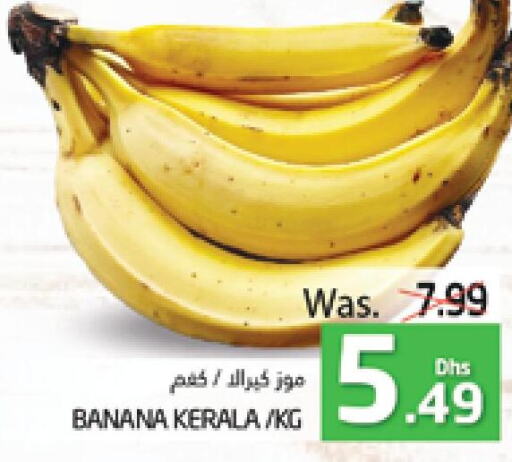  Banana  in مجموعة باسونس in الإمارات العربية المتحدة , الامارات - ٱلْعَيْن‎