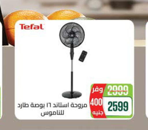 TEFAL Fan  in Seoudi Supermarket in Egypt - Cairo