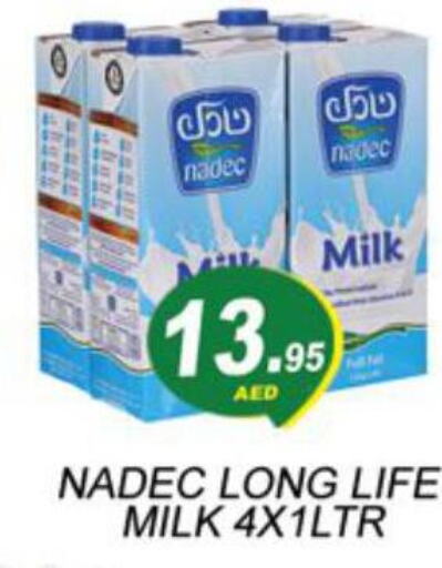 NADEC Long Life / UHT Milk  in Zain Mart Supermarket in UAE - Ras al Khaimah