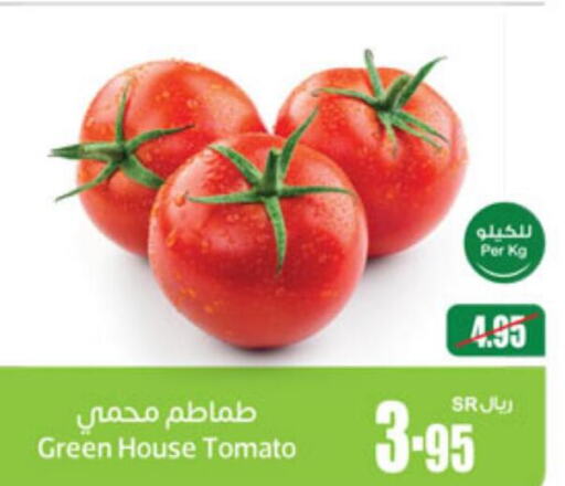  Tomato  in أسواق عبد الله العثيم in مملكة العربية السعودية, السعودية, سعودية - الخرج