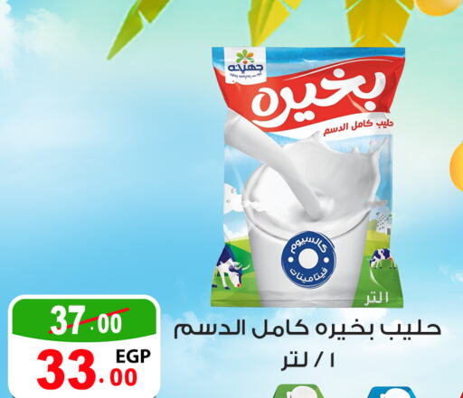  Milk Powder  in Ghoneim Market   in Egypt - Cairo