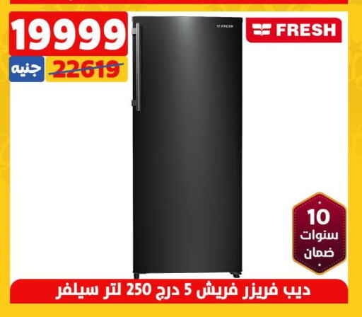 FRESH Freezer  in Shaheen Center in Egypt - Cairo