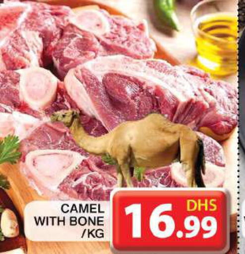  Camel meat  in جراند هايبر ماركت in الإمارات العربية المتحدة , الامارات - دبي
