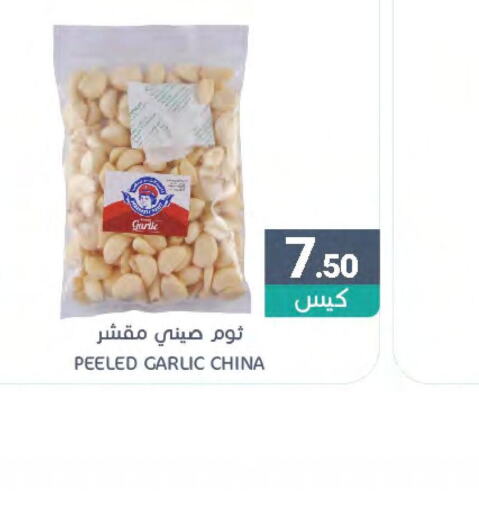  Garlic  in اسواق المنتزه in مملكة العربية السعودية, السعودية, سعودية - المنطقة الشرقية