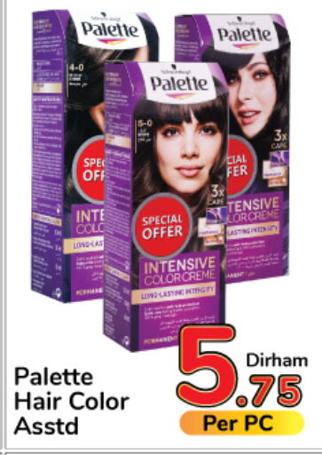 PALETTE Hair Colour  in Day to Day Department Store in UAE - Dubai