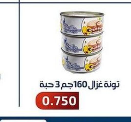  Tuna - Canned  in جمعية فحيحيل التعاونية in الكويت - مدينة الكويت