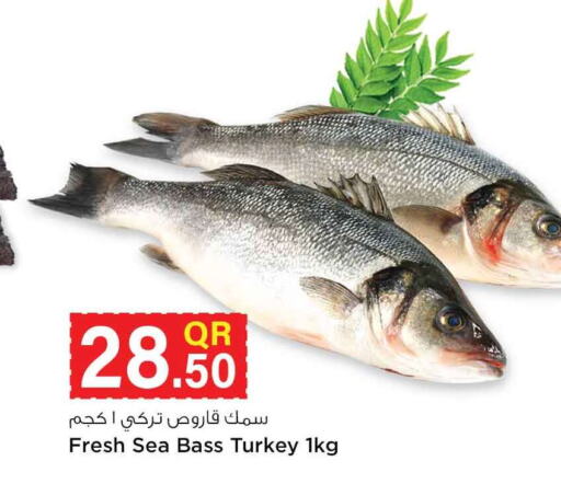  King Fish  in Safari Hypermarket in Qatar - Umm Salal