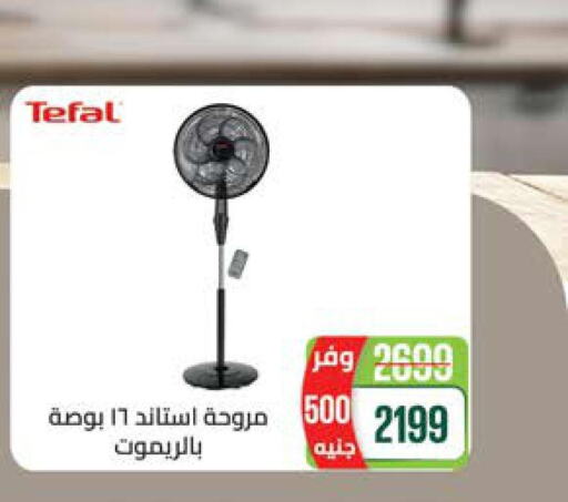TEFAL Fan  in Seoudi Supermarket in Egypt - Cairo