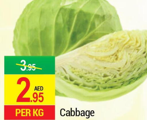  Cabbage  in رتش سوبرماركت in الإمارات العربية المتحدة , الامارات - دبي