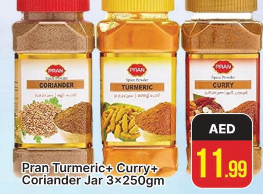 PRAN Spices / Masala  in AL MADINA (Dubai) in UAE - Dubai