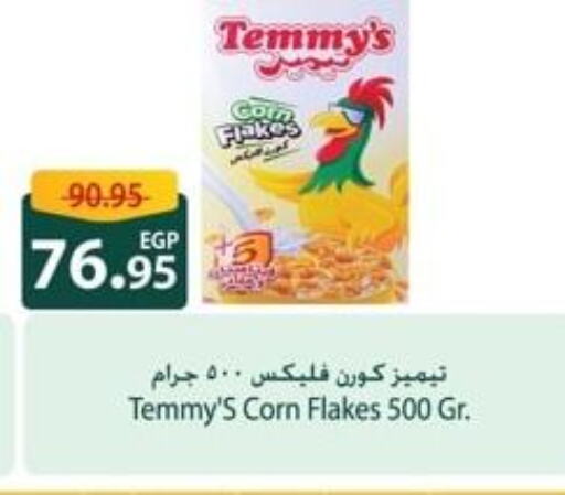 TEMMYS Corn Flakes  in Spinneys  in Egypt - Cairo