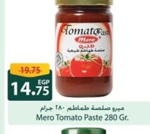  Tomato Paste  in سبينس in Egypt - القاهرة