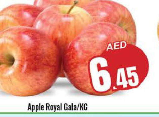  Apples  in PASONS GROUP in UAE - Fujairah