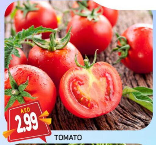  Tomato  in مركز النخيل هايبرماركت in الإمارات العربية المتحدة , الامارات - الشارقة / عجمان