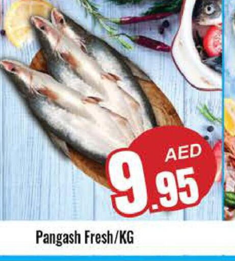  Tuna  in مجموعة باسونس in الإمارات العربية المتحدة , الامارات - ٱلْعَيْن‎