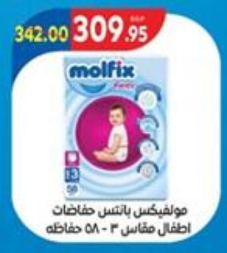 MOLFIX   in Zaher Dairy in Egypt - Cairo