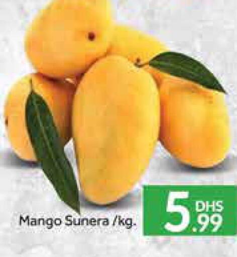Mango Mango  in مانجو هايبرماركت in الإمارات العربية المتحدة , الامارات - دبي