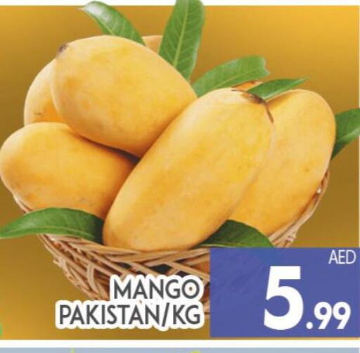 Mango Mango  in AL MADINA (Dubai) in UAE - Dubai