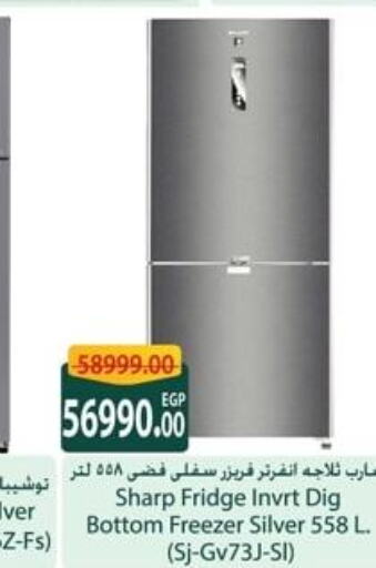 SHARP Refrigerator  in Spinneys  in Egypt - Cairo