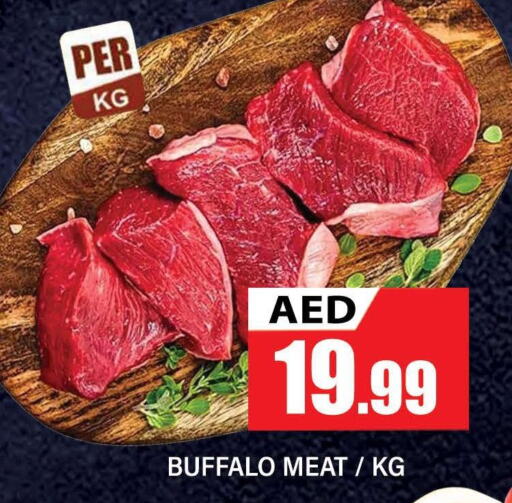  Buffalo  in المدينة in الإمارات العربية المتحدة , الامارات - دبي