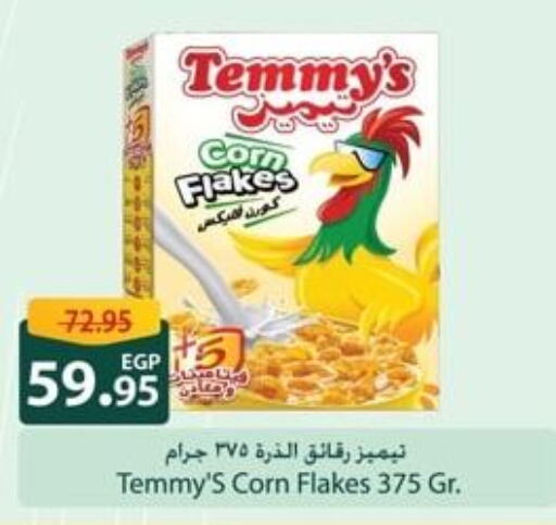 TEMMYS Corn Flakes  in Spinneys  in Egypt - Cairo