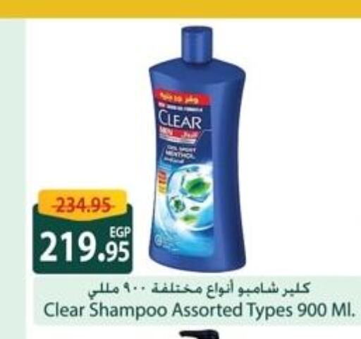 CLEAR Shampoo / Conditioner  in Spinneys  in Egypt - Cairo