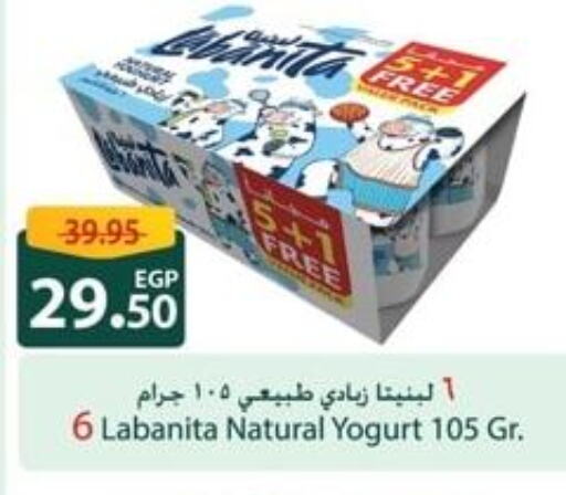  Yoghurt  in سبينس in Egypt - القاهرة