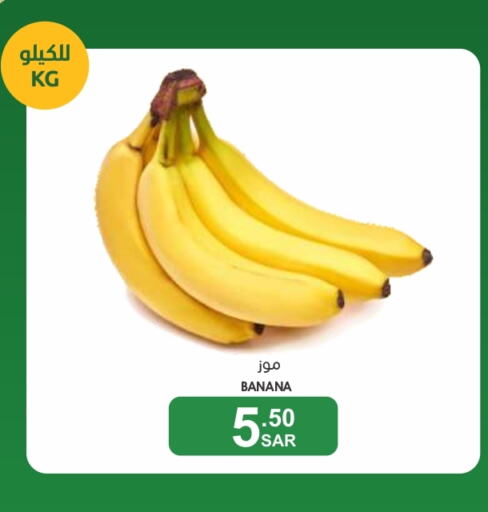  Banana  in  مـزايــا in مملكة العربية السعودية, السعودية, سعودية - المنطقة الشرقية