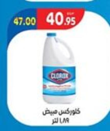CLOROX General Cleaner  in Zaher Dairy in Egypt - Cairo